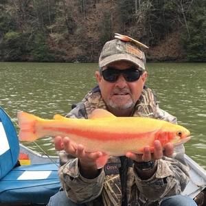 Meet your Posher, Pete